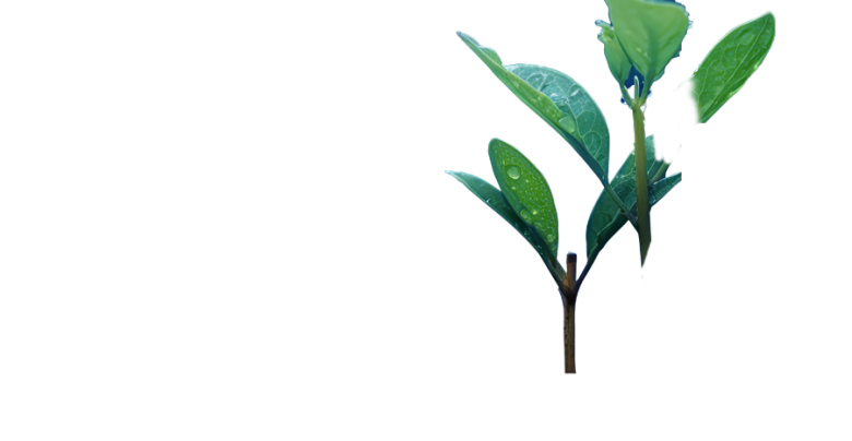 Soil-and-Water-Small-Tablet Soil and Water Leaves